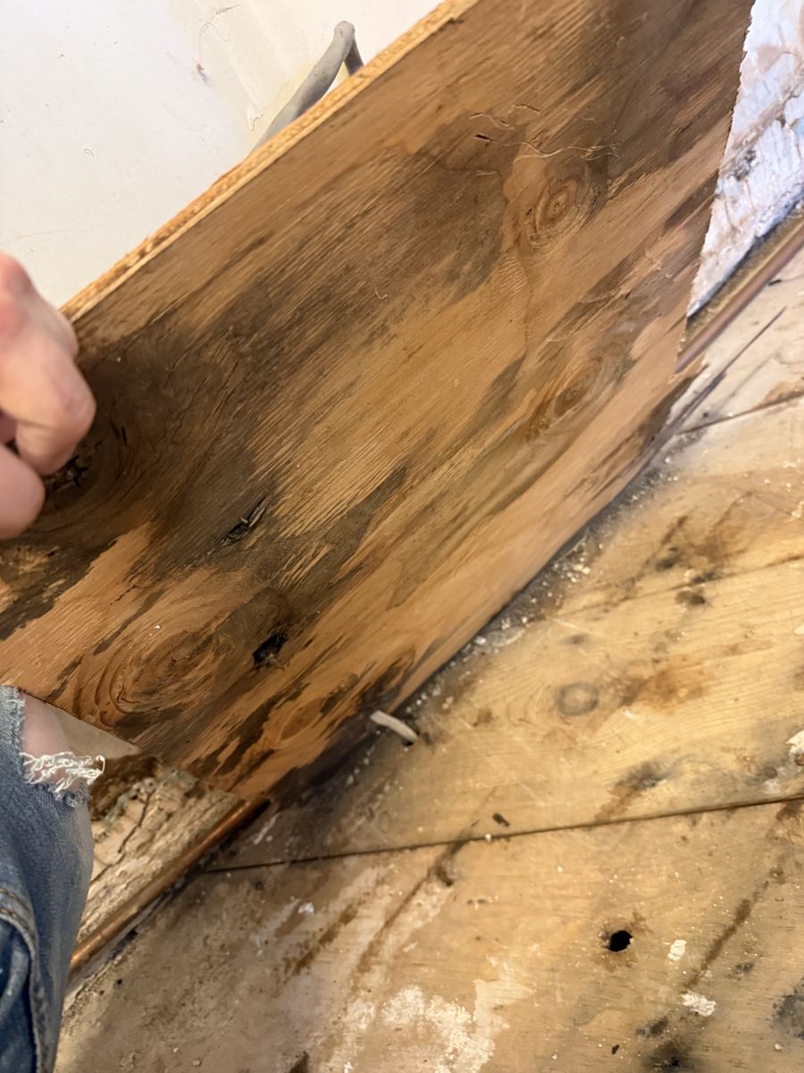 Alamosa project photo 2: Mold on the underside of a flooring panel removed from the kitchen.
