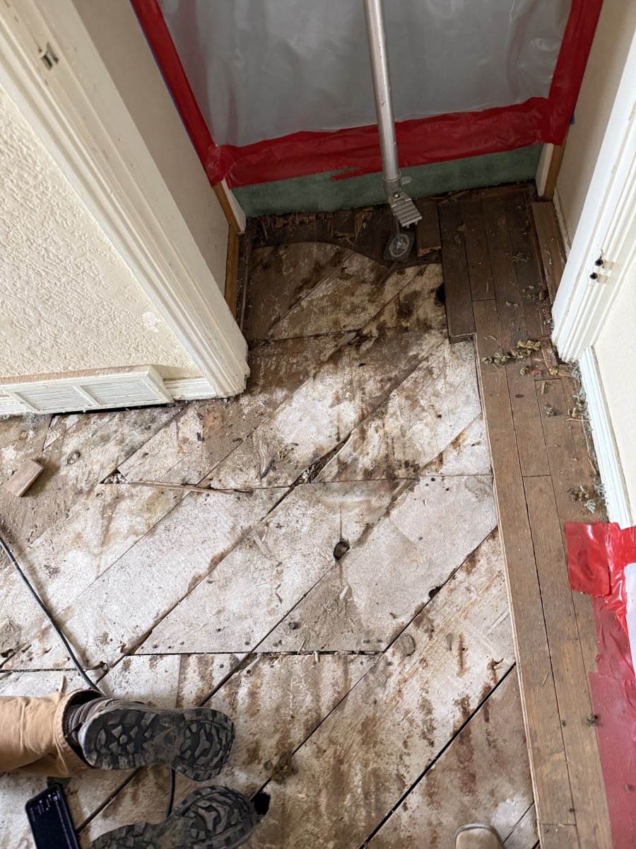 Alamosa project photo 6: Subfloor exposed at the containment line.