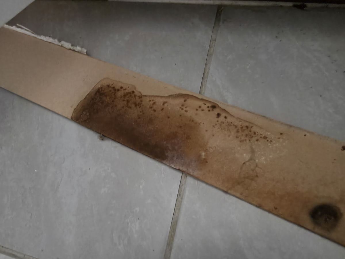 Pueblo project photo 2: Water staining that had worked under the floor tile.