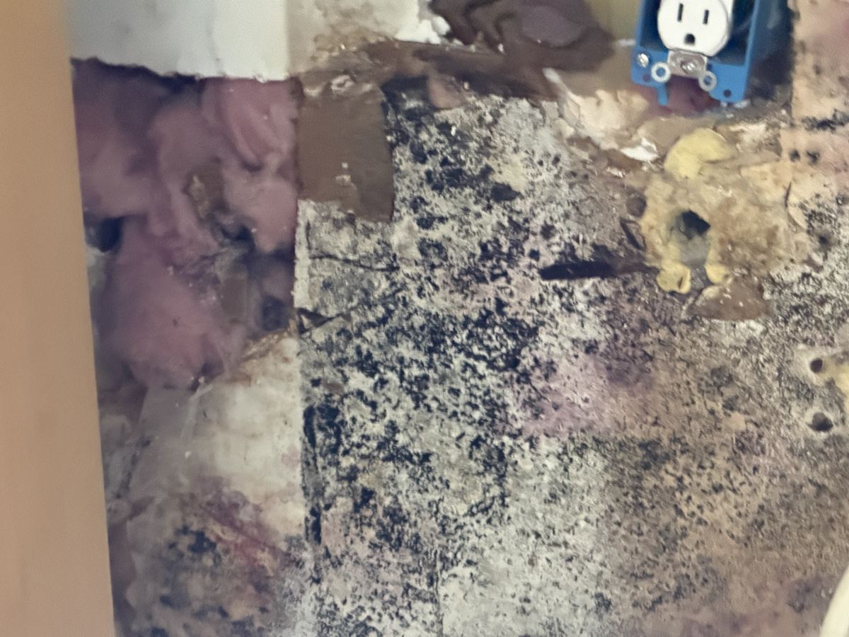 Pueblo project photo 3: Mold growth on the drywall behind the sink base.