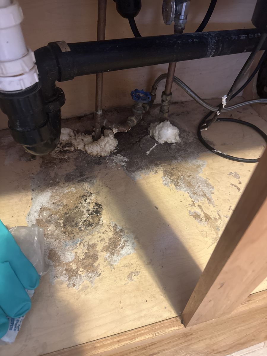 Trinidad project photo 1: The leak area under the plumbing, with water-damaged flooring.