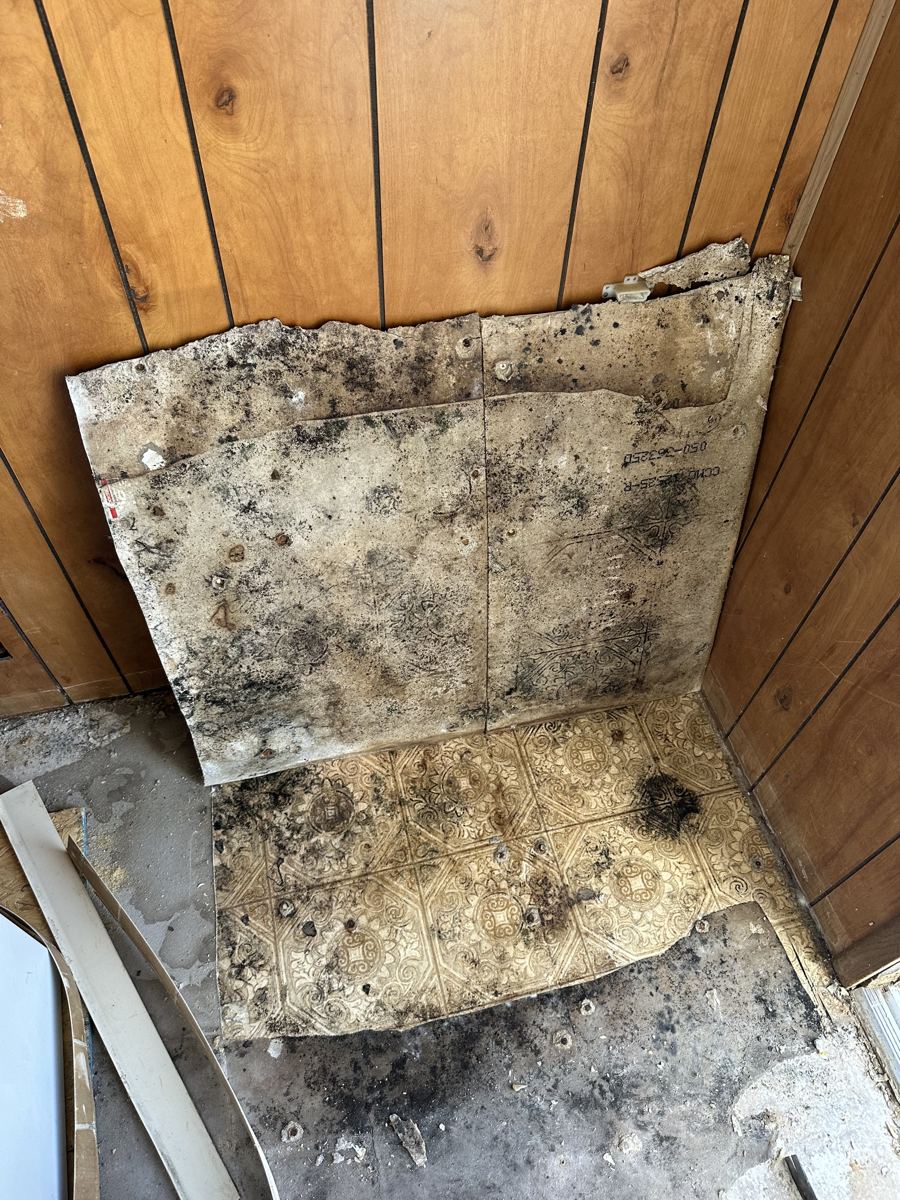 Trinidad project photo 4: Moldy, rotted subfloor exposed at the wall.