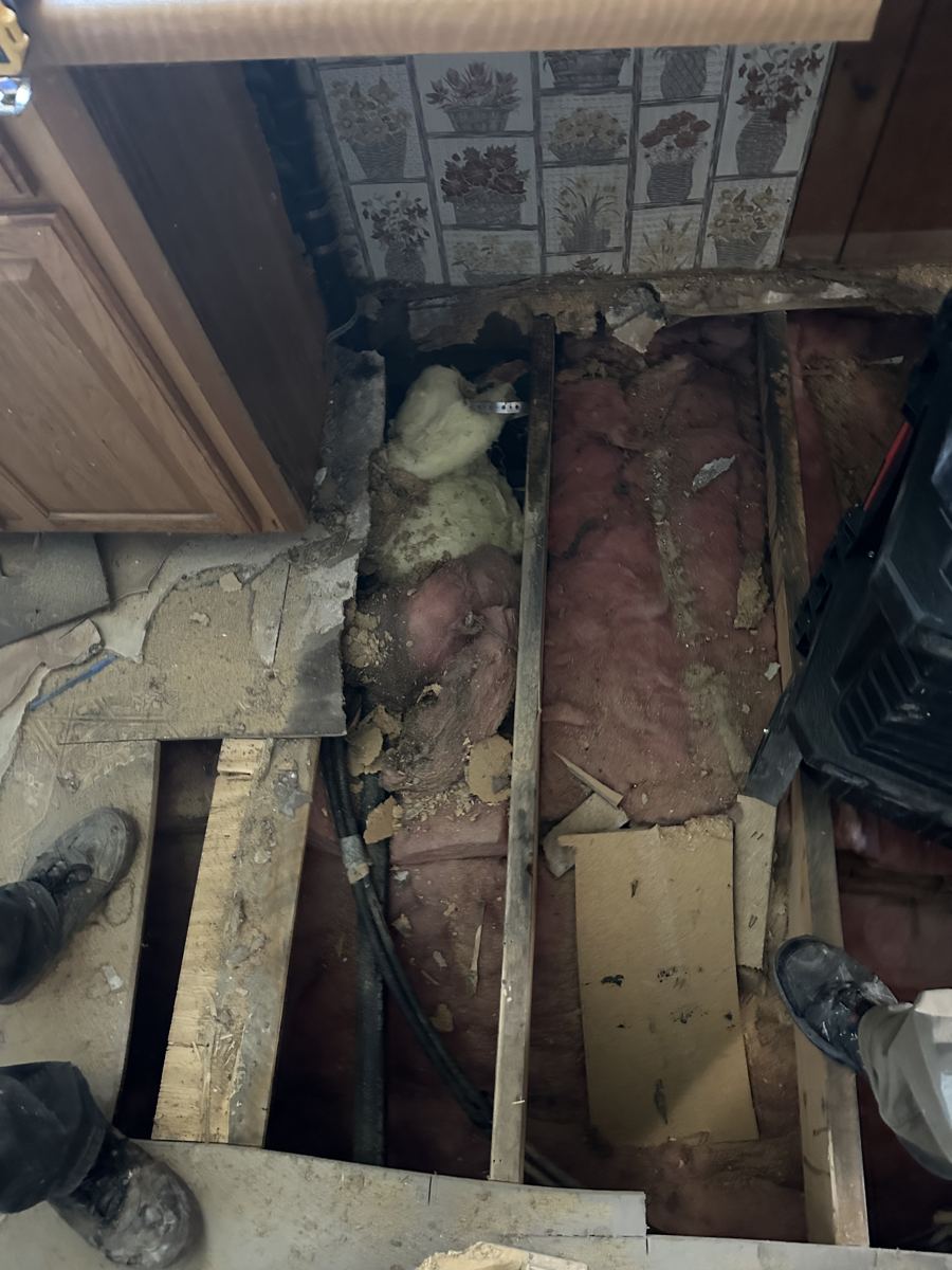 Trinidad project photo 6: Floor system exposed after the rotted subfloor came out.