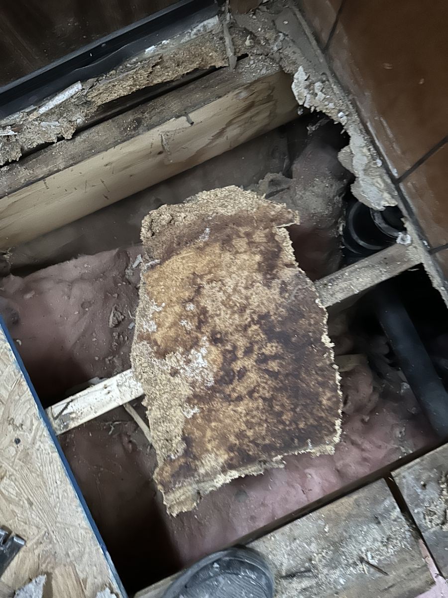 Trinidad project photo 7: A section of rotted, moldy subfloor cut out of the floor.