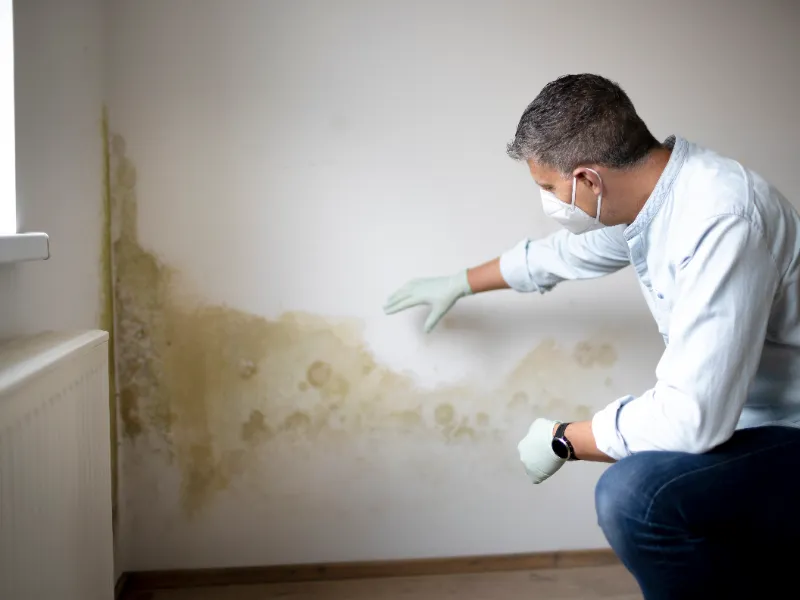 Man wearing gloves and mask inspecting mold damage on an interior wall near a radiator.