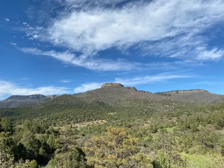 Mountain range with green forest under a blue sky with scattered white clouds.